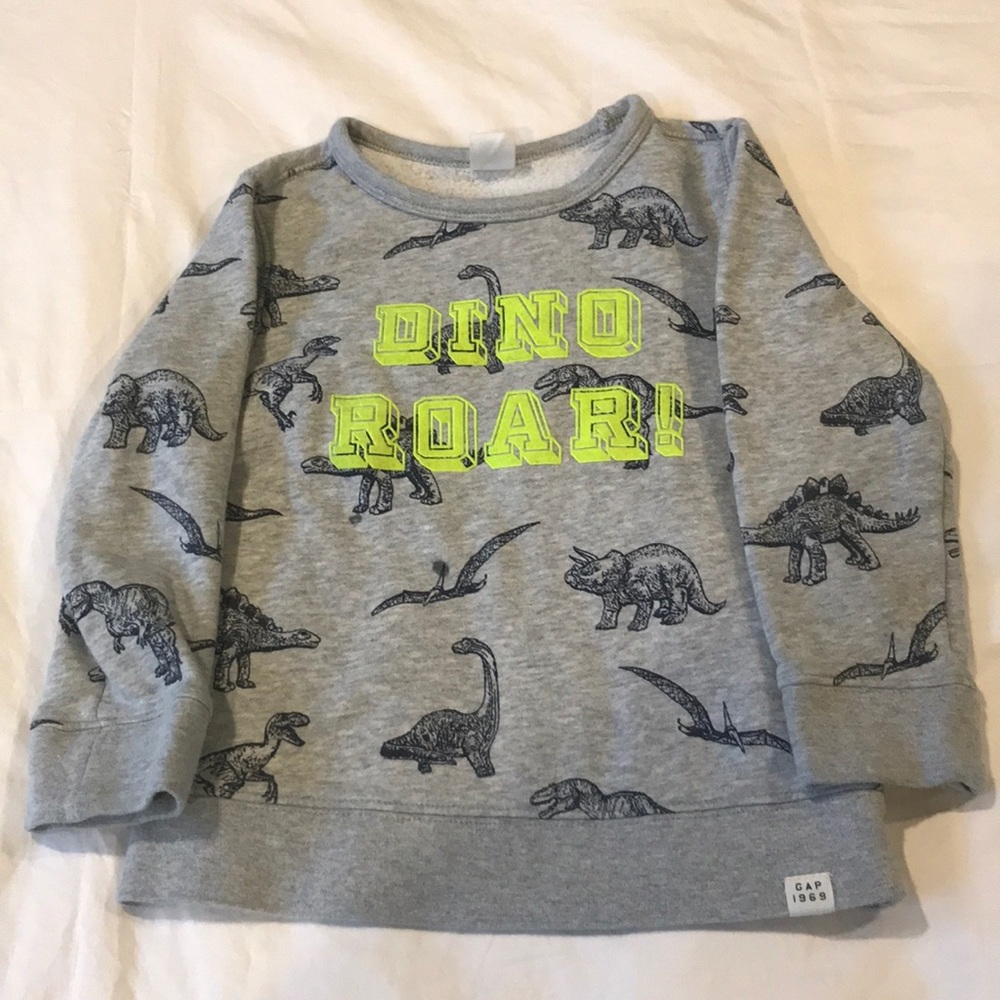 Baby Gap dino sweatshirt
